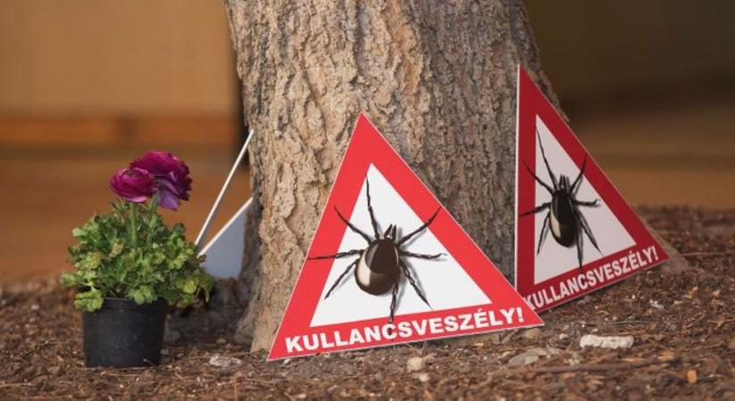 Kullancsinvázió jöhet Borsodban is: mutatjuk, mit tegyél azonnal a kertedben