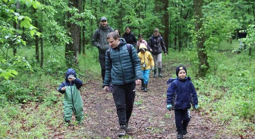 Vadászni kellett a szemetet az ásotthalmi öreg erdőben