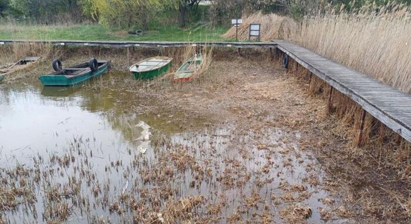 Huszárok a tóban - hihetetlen történetek a Velencei-tó múltjából