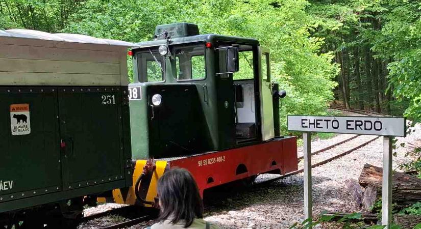 Miskolc erdei gasztroélményére Európa is felfigyelt