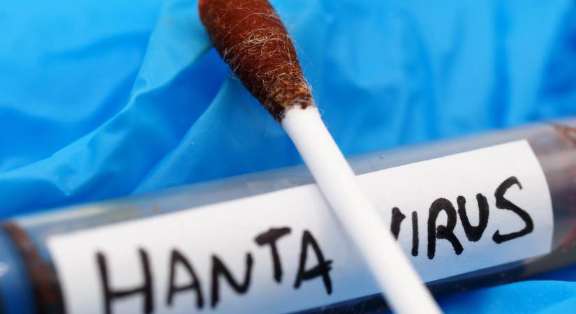 A WHO nem talált mutációt a hantavírusban a hajón történt kitörés után