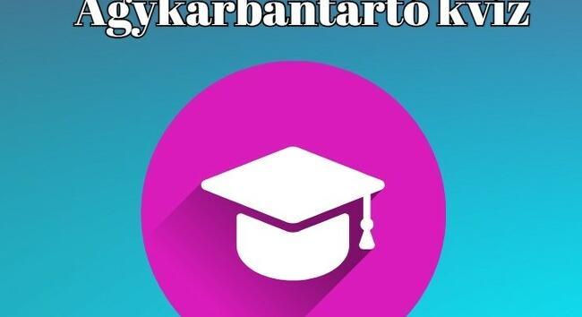 Agykarbantartó kvíz - Nem múlhat el a nap a legnépszerűbb napi kvízfajtánk nélkül