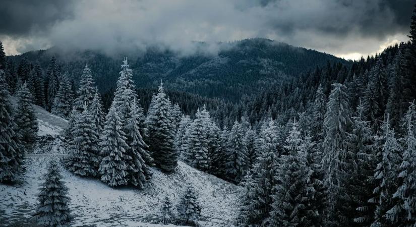 Nyár helyett hóvihar: 30 cm friss hó esett a szomszédban