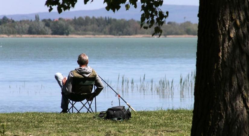 Több hal úszik a Balatonban, mint hinnéd – te hányat tudnál felsorolni?