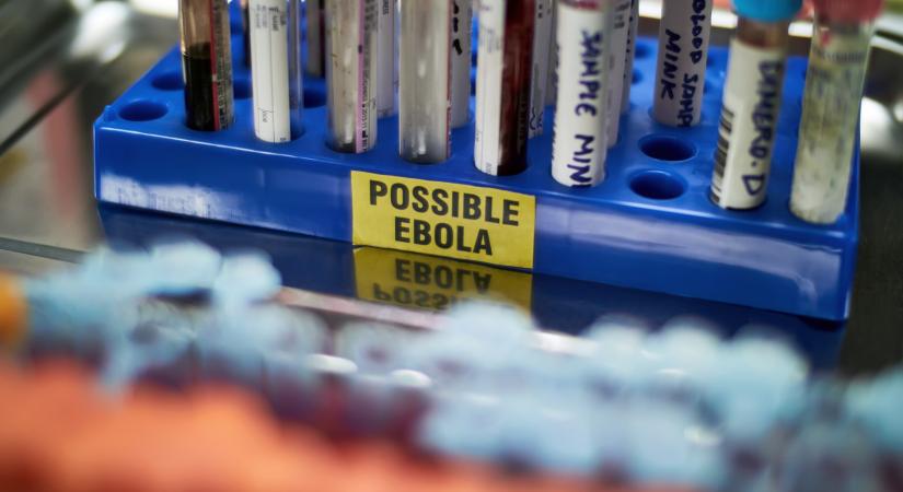 Miért van ebola-vészhelyzet afrikai országokban? - Megszólalt a magyar kutató