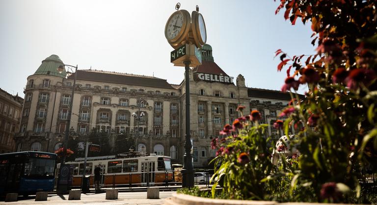 Gyomron fejeltek egy fiatal nőt a Szent Gellért téri buszmegállóban