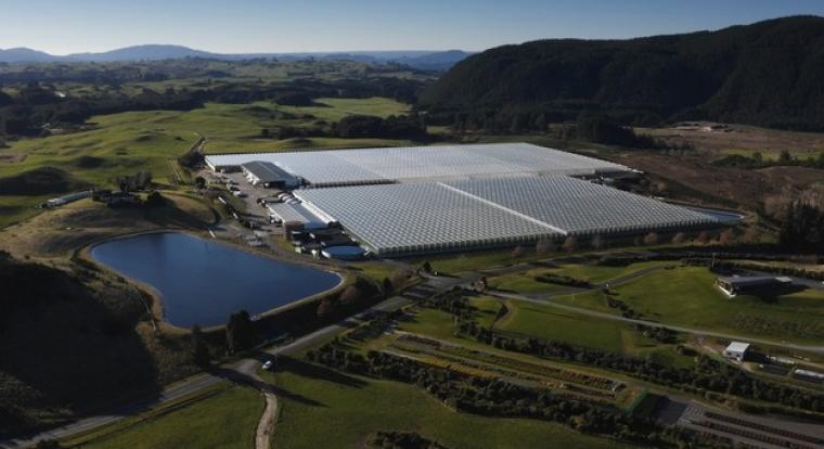 Geotermikus energia menthetné meg az üvegházi termesztést