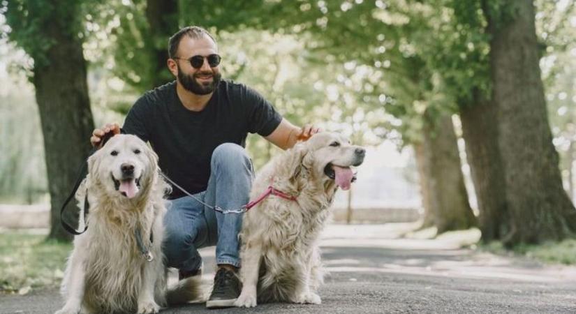 Második kutyát szeretnél? Ezt az egy dolgot mindenképp gondold át előtte