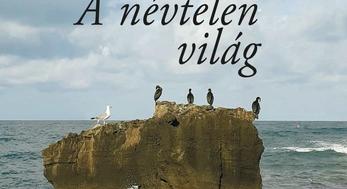 Győrffy Ákos: A névtelen világ