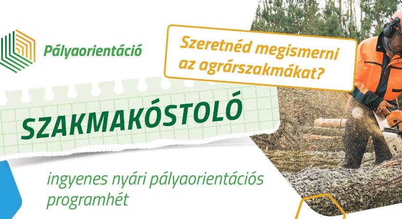 SZAKMAKÓSTOLÓ tábor