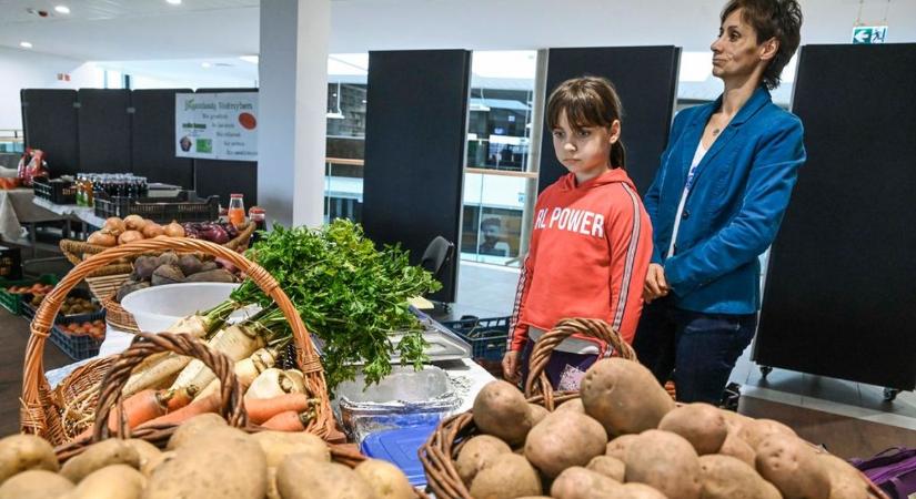 Kosárpont átadóünnepség lesz mini piaccal