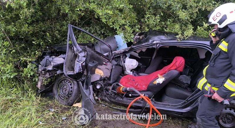 Kidőlt fákhoz, balesetekhez vonultak a tűzoltók a hétvégén