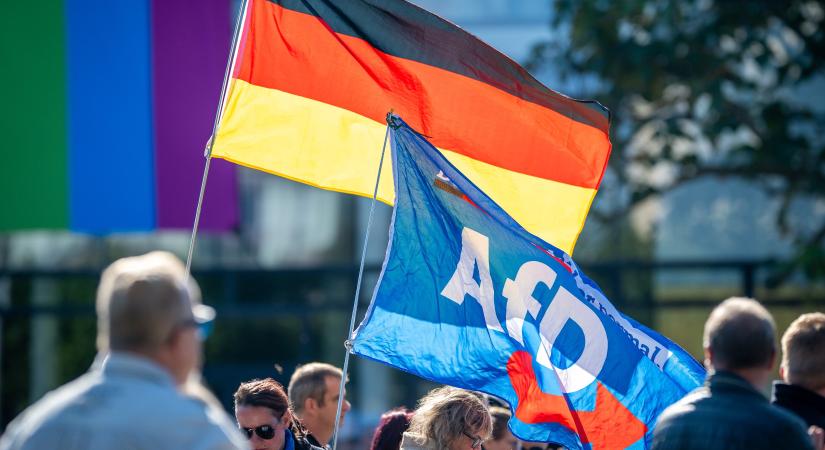 Hiába tolódik neonáci irányba a párt, egyre népszerűbb az AfD Németországban