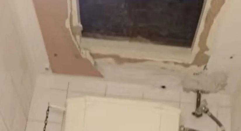 Tárlatvezetést tartottak az Országos Széchényi Könyvtár dolgozói, csótányok is felbukkannak a videón