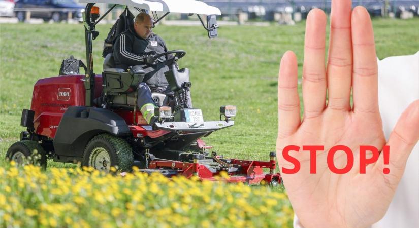 Győr-Szol: a játszóterek környékén, a fő útvonalak mentén továbbra is vágják a füvet
