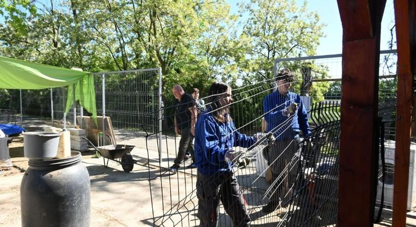 Jótét vizsgamunka: elárvult kutyáknak készítettek kenneleket a gépészes diákok