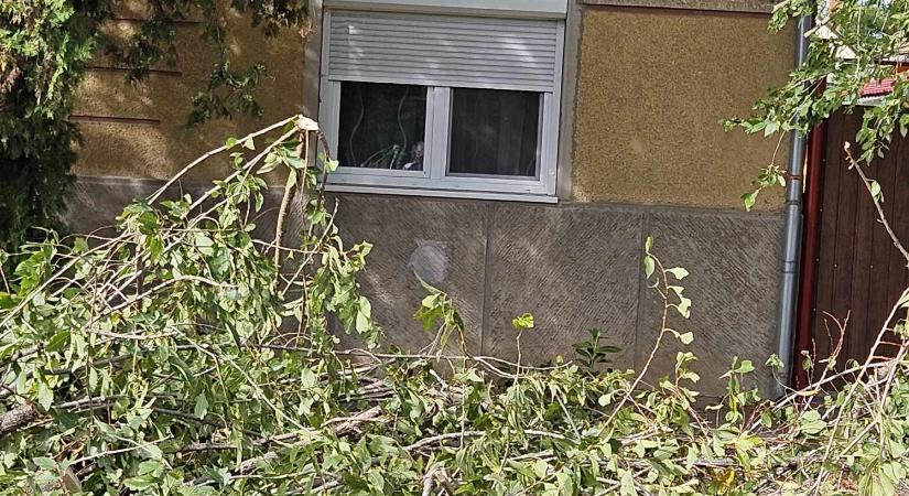 Faágak szakadtak le és melléképület égett Vásárhelyen