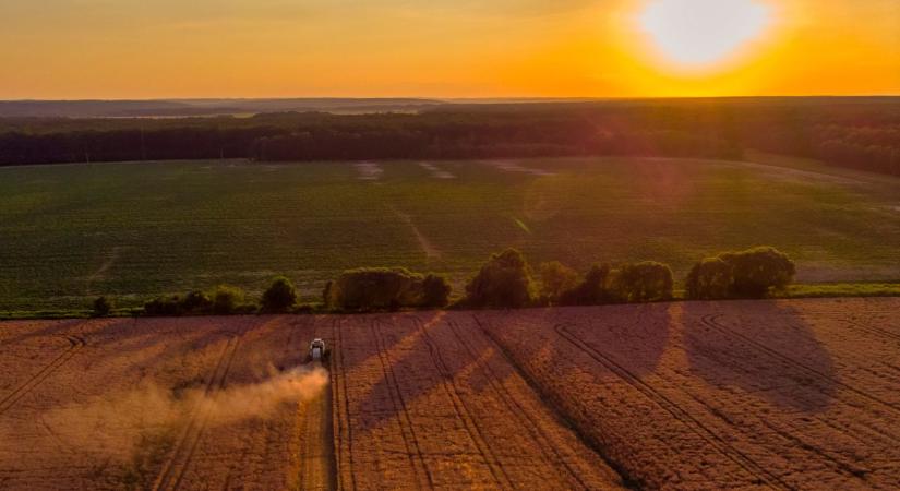 Szegedtől Villányig, szalámitól a vörösborig: Magyarország legízesebb túráin élvezet lesz végiggyalogolni