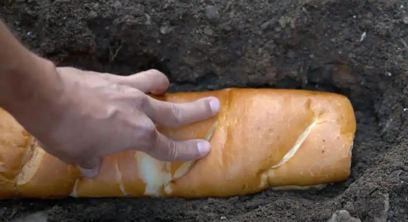 Ezért ásnak száraz kiflit a földbe a profi kertészek: zseniális a trükk