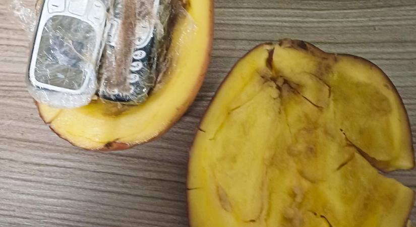 Krumpliba rejtett, nyomógombos telefonokat próbáltak bejuttatni egy budapesti börtönbe