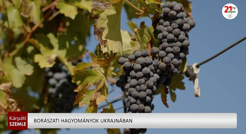 Borászati hagyományok Ukrajnában (videó)