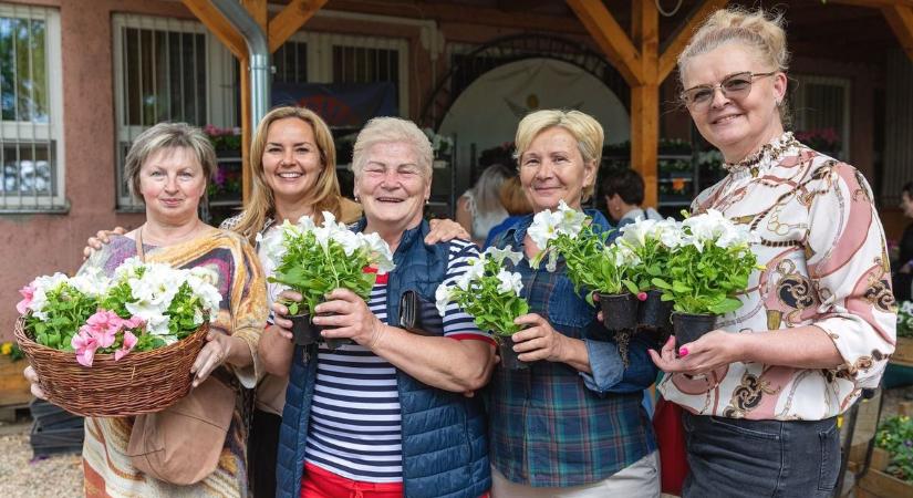 Hamarosan kezdődik az ingyenes virágosztás Debrecenben, ők örülhetnek elsőként - fotókkal!