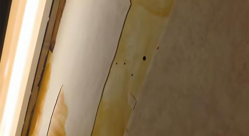 Videón, ahogy csótányok közt, málló vakolatú helyiségekben dolgoznak az Országos Széchényi Könyvtár munkatársai