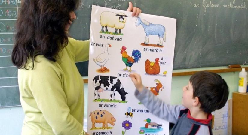 Meglepő dolgot találtak a kétnyelvű emberek agyában