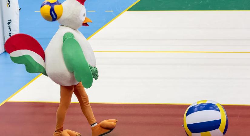 Hat- és nyolccsapatos röplabdaélvonal, kötelező feljutás a másodosztályból