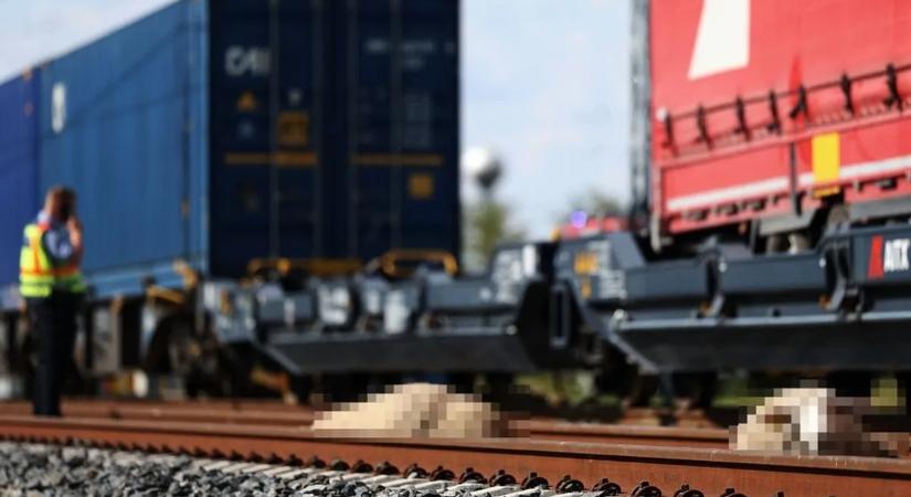 Bekövetkezett az első vonatbaleset a Budapest–Belgrád-vasútvonalon – fotókkal, videóval