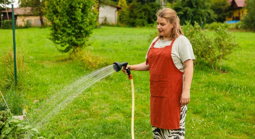 Ezért ne vágjuk túl rövidre a füvet: a dús gyep titka az egyharmados szabály