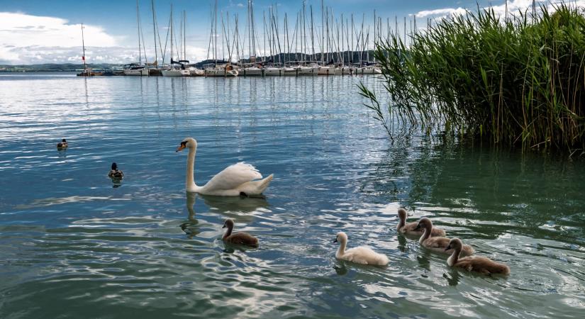 A Balaton-part jövője a tét – az új házelnök határozott fellépést ígért, de a TASZ is odapirított