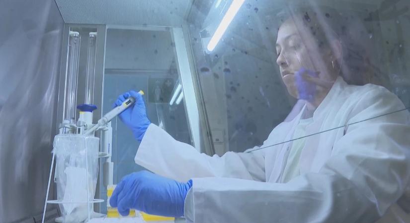 Új ebola-járvány tört ki Afrikában, de a magyar szakemberek készen állnak a védekezésre