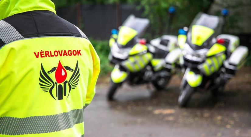 Azonnali lemondásra szólították fel az OVSZ vezetését a Vérlovagok