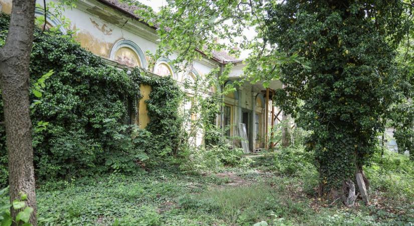 Véres múltja miatt rettegtek tőle, most újra élet költözhet az abonyi kastélyba