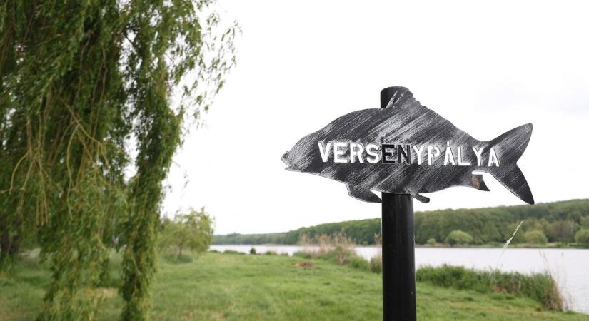 Az Y-szálka bosszúja – hogyan szeretett bele egy pontygyűlölő a tengeri herkenentyűkbe?
