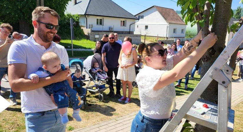 Különleges hagyománnyal köszöntik a babák születését a gerecsei településen