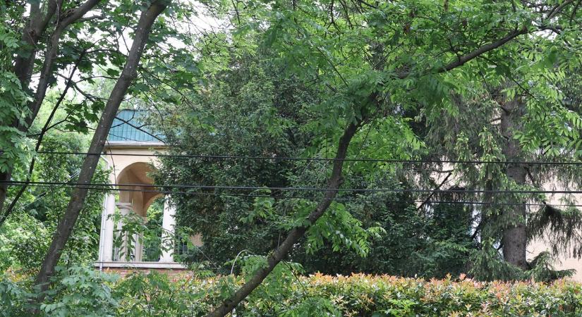 Kormányfő a szomszédom! – Ilyennek ismerik Magyar Pétert a mellette lakók