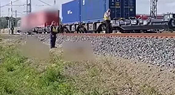 Juhokat gázolt egy tehervonat Kiskunhalasnál, megbénult a közlekedés – videó