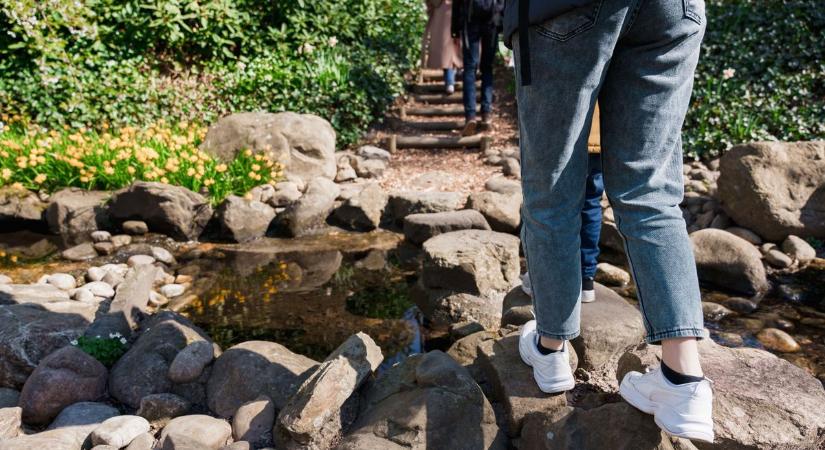 Egyetlen lépéseddel védett állatot pusztíthatsz el