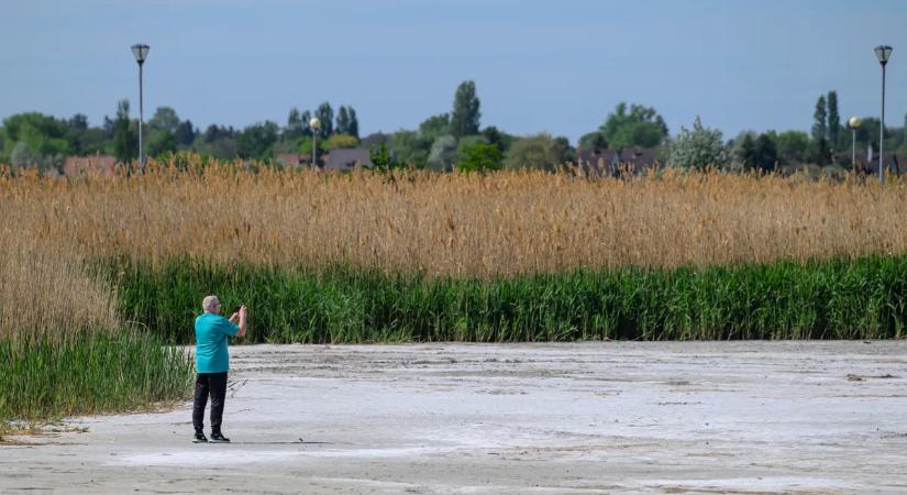 Kritikus helyzetben a Velencei-tó: ez eldöntheti, mennyit ér a nyaraló