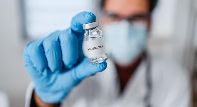Laboratóriumi vizsgálatok is megerősítették, hogy hantavírussal fertőzött a magyar határ közelében érő bihari férfi