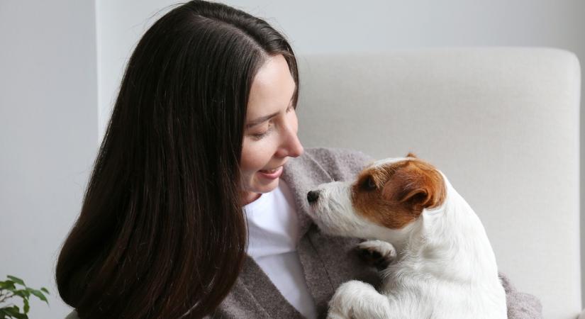 Miért szeretik a kutyák, ha úgy beszélünk velük, mint egy kisbabával?