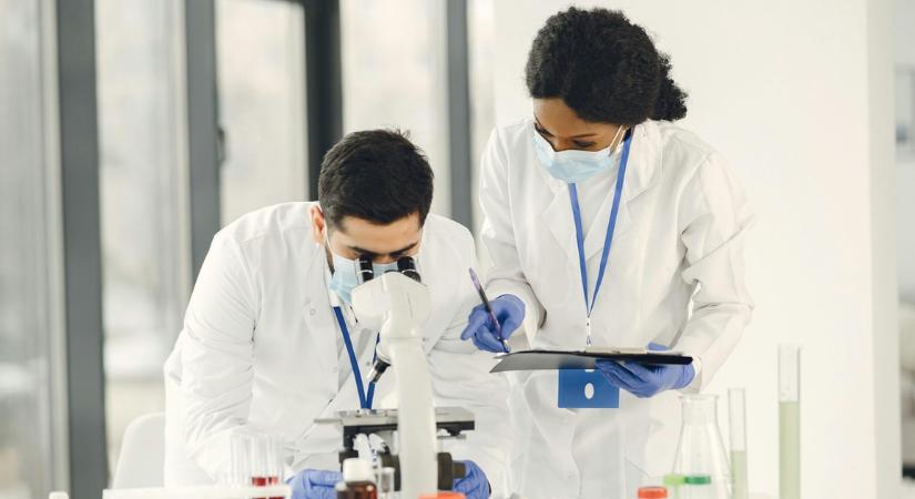 Élő emberi sejteket használnak a tudósok egy chip-ben a betegségek kutatására