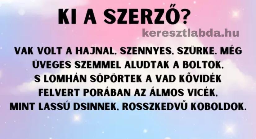 Napi irodalom feladat: Körúti hajnal, kötelező volt, de tudod, kinek a tolla?