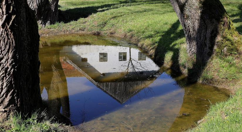 Az esőkertek segíthetnek a vízmegtartásban
