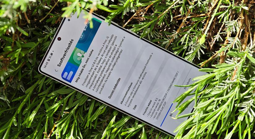 Szaporodik és sokasodik a One UI 8.5