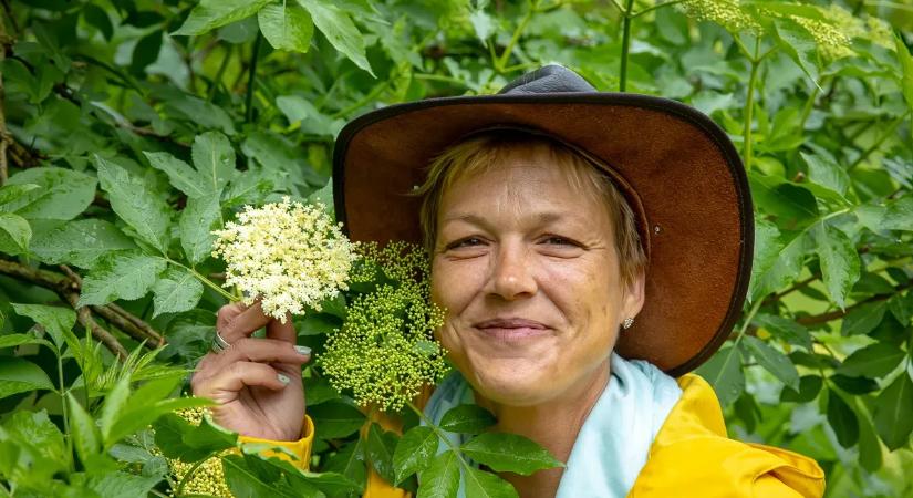 Fedezd fel a természet ízeit: kóstolj vadnövényeket a Mindmegette kurzusán - VIDEÓ
