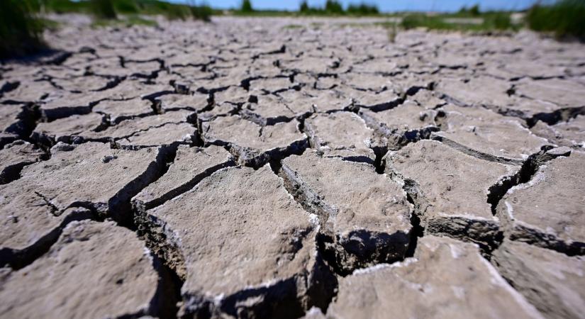 A vízelvezetéstől a vízmegtartásig: szemléletváltást sürgetnek a kutatók