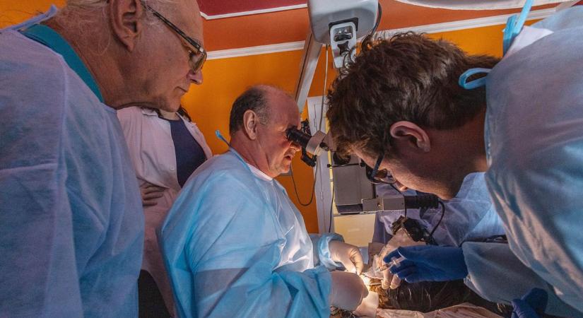 Világszenzáció Szentesen: Egy pézsmakacsa szemén keresztül látja a világot a parlagi sas